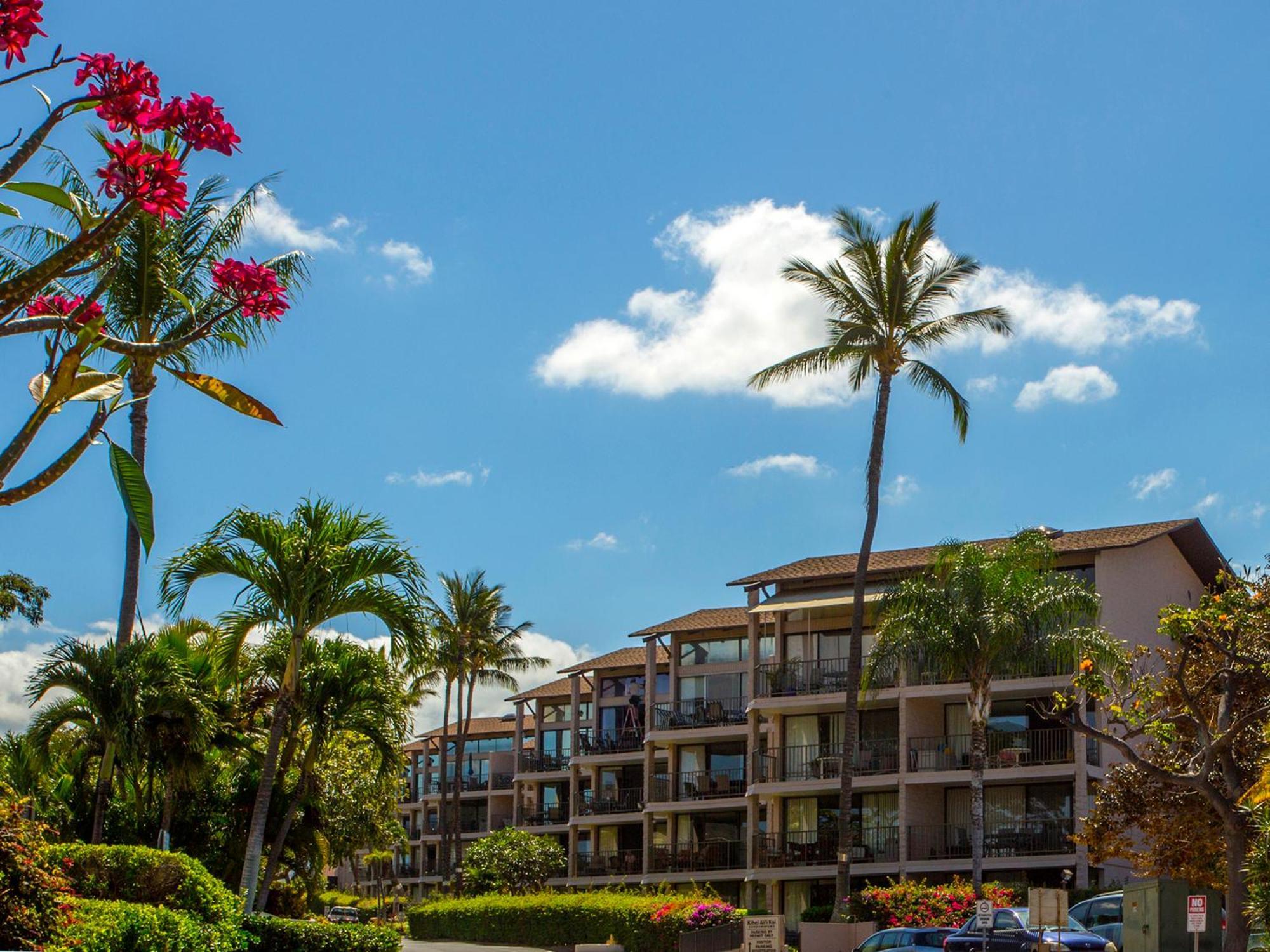 Ocean View Unit At Kihei Alii Kai Close To Beach 外观 照片